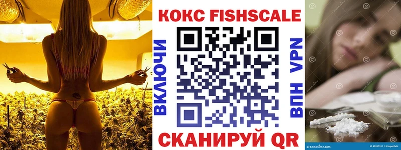 Купить Балашов Cocaine Эквадор