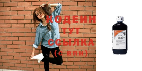 гидра Богородицк