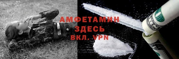 индика Богородск