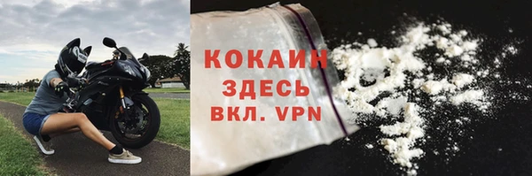 гидра Богородицк