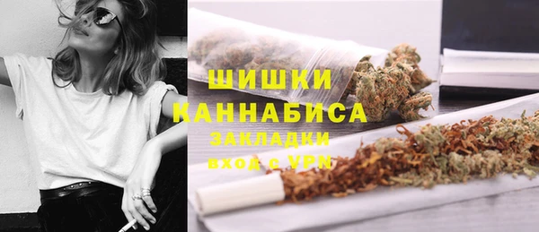 индика Богородск