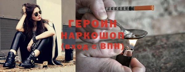 гидра Богородицк