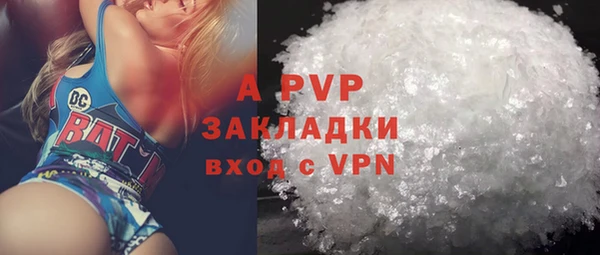 индика Богородск