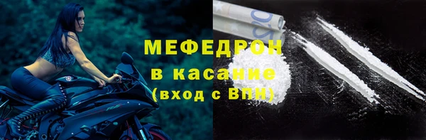 гидра Богородицк