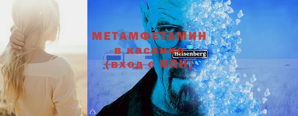 индика Богородск