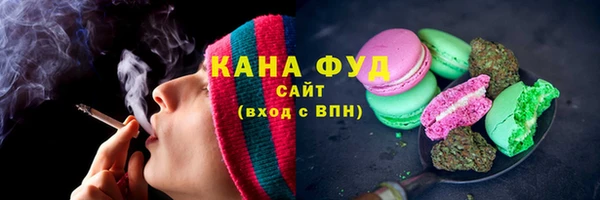 гидра Богородицк