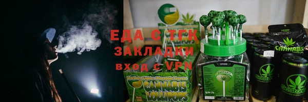 гидра Богородицк