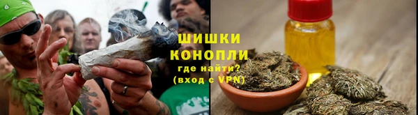 гидра Богородицк