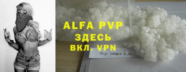 прущий лед Богданович