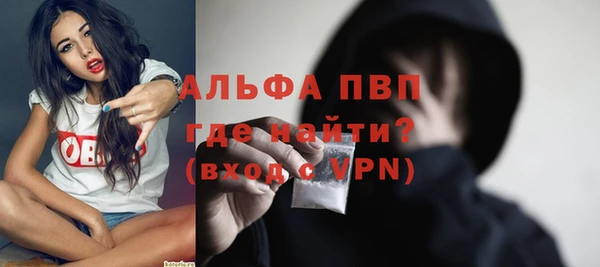 прущий лед Богданович