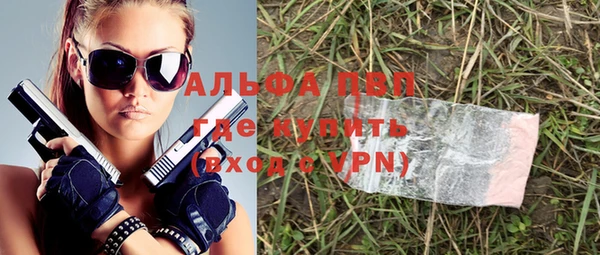 прущий лед Богданович