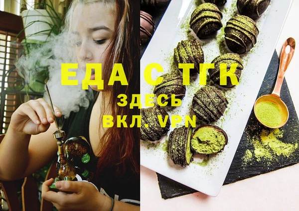 индика Богородск