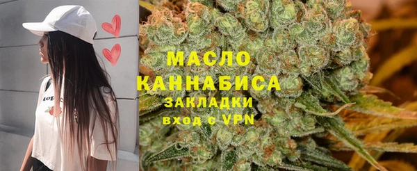 гидра Богородицк