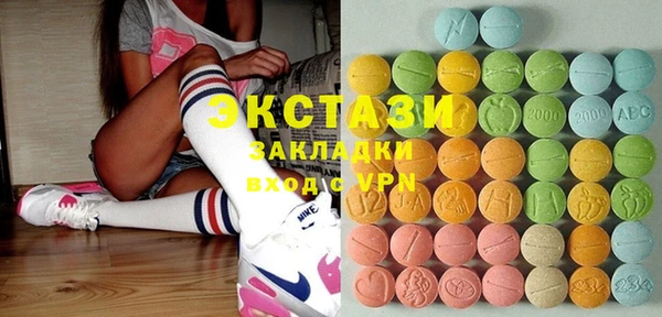 индика Богородск