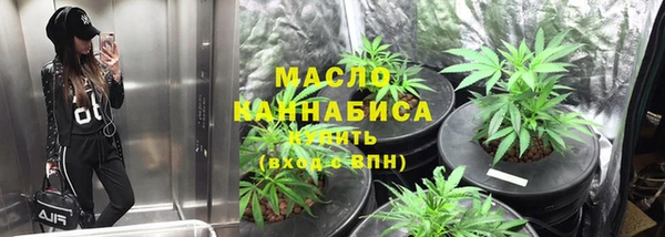 гидра Богородицк