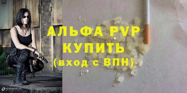 индика Богородск