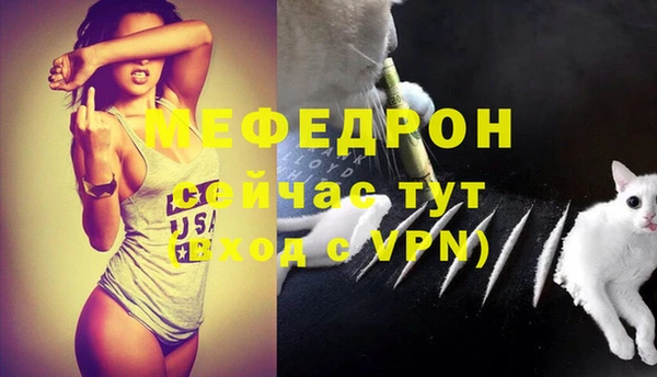 прущий лед Богданович