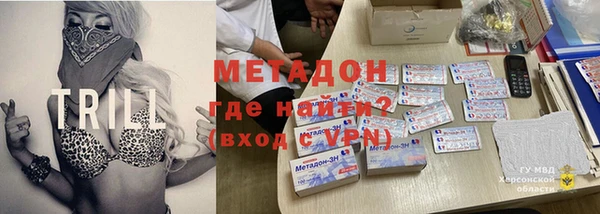 индика Богородск
