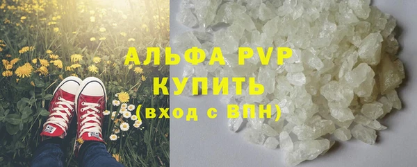гидра Богородицк