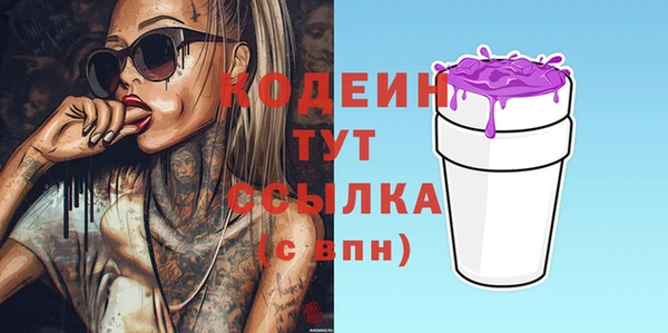 прущий лед Богданович