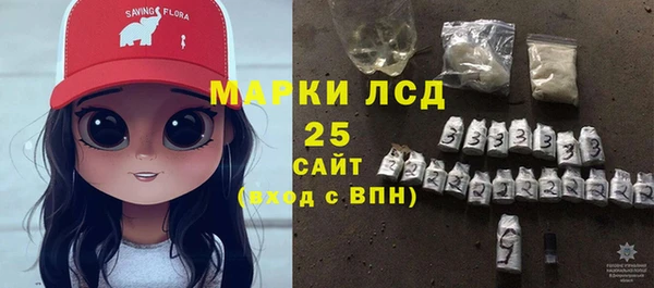 гидра Богородицк