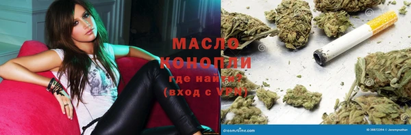 индика Богородск