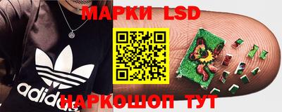 сатива Кизилюрт