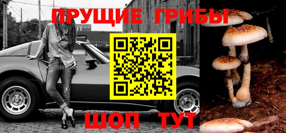 Псилоцибиновые грибы прущие грибы Балашов