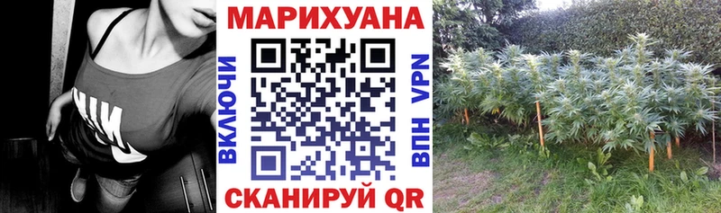 МАРИХУАНА SATIVA & INDICA  Купить  Балашов 